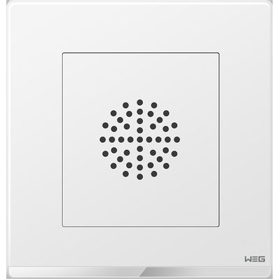 Zócalo montado en la pared de acero del enchufe de la placa W7SG 250V 10A del moho anti grueso