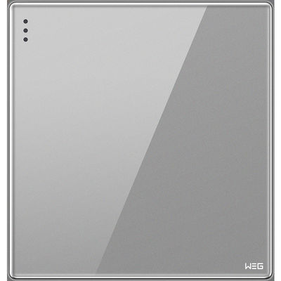 Zócalo montado en la pared del enchufe del gris W81Q/1Y USB