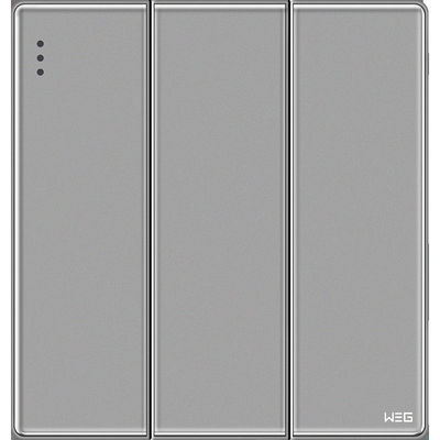 Enchufe de pared eléctrico de acero del gris W83Q/2Y de la placa
